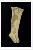 Stockings worn by Nelson (1758-1805) at the Battle of Trafalgar by unknown