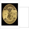 Irish Volunteer Corps by Unknown