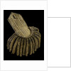 Royal Naval uniform: pattern 1795-1812 by unknown