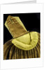 Royal Naval uniform: pattern 1812 by unknown