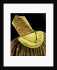 Royal Naval uniform: pattern 1812 by unknown