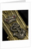 Royal Naval uniform: pattern 1812 by unknown