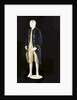Royal Naval uniform: pattern 1774 by unknown