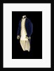 Royal Naval uniform: pattern 1787 by unknown