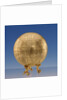 Terrestrial table globe by Spirinx