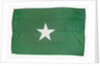 House flag, Ross Group by unknown