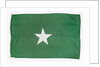 House flag, Ross Group by unknown