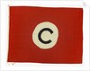 House flag, Constants Ltd by unknown