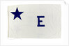 House flag, Rotterdam Steam Ship Co. by unknown