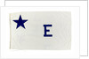 House flag, Rotterdam Steam Ship Co. by unknown
