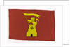 House flag, Tyne-Tees Steam Ship Co. Ltd by unknown