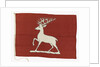 House flag, Stag Line Ltd by unknown