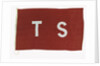 House flag, Turnbull Scott and Co. by unknown