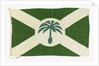 House flag, Palm Line Ltd by Unknown