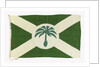 House flag, Palm Line Ltd by Unknown