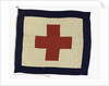 House flag, Rowland & Marwoods Steam Ship Co. by unknown