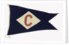 House flag, Baltic Steamship Co. Ltd by Porter Bros Ltd.