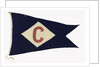 House flag, Baltic Steamship Co. Ltd by Porter Bros Ltd.