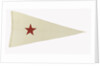 House flag, Bombay Steam Navigation Co. Ltd by unknown