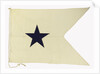 House flag, Bristol City Line of Steamships Ltd by unknown