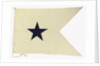 House flag, Bristol City Line of Steamships Ltd by unknown