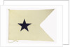 House flag, Bristol City Line of Steamships Ltd by unknown