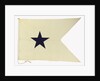 House flag, Bristol City Line of Steamships Ltd by unknown