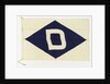 House flag, J. & J. Denholm by unknown