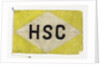 House flag, Hadley Shipping Co. Ltd by unknown