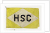 House flag, Hadley Shipping Co. Ltd by unknown