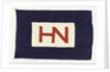 House flag, Hain Nourse Management Ltd by unknown