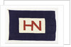 House flag, Hain Nourse Management Ltd by unknown
