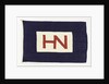 House flag, Hain Nourse Management Ltd by unknown