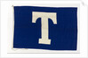 House flag, Tavistock Shipping Co. by unknown