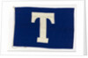 House flag, Tavistock Shipping Co. by unknown