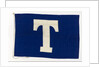House flag, Tavistock Shipping Co. by unknown