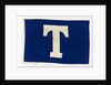 House flag, Tavistock Shipping Co. by unknown