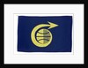 House flag, Cable and Wireless (Marine) Ltd by unknown
