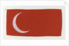 House flag, London & Rochester Trading Co. by Unknown
