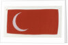 House flag, London & Rochester Trading Co. by Unknown