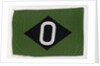 House flag, Oregon Steamship Co. Ltd by unknown