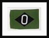 House flag, Oregon Steamship Co. Ltd by unknown