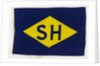 House flag, Stevinson-Hardy by Unknown