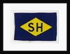 House flag, Stevinson-Hardy by Unknown