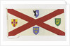House flag, Irish Shipping Ltd by unknown