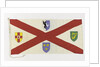 House flag, Irish Shipping Ltd by unknown