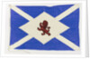 House flag, Scottish Tanker Co. Ltd by unknown