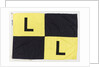 House flag, Link Line Ltd by unknown