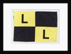House flag, Link Line Ltd by unknown