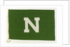 House flag, Nigerian National Line Ltd by unknown